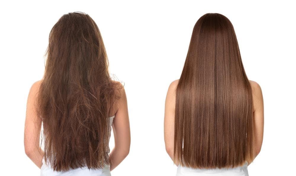 Ingredientes naturales para alisar el cabello: Explorando opciones libres de químicos agresivos